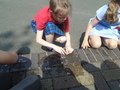 DSC06083.JPG