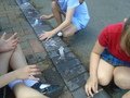 DSC06089.JPG