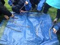 IMG_1364.JPG