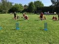 13F74325-1AA7-4019-AF3D-5FB4E30A1032.jpeg