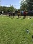 F19ACAAF-8F55-48EA-8DC0-E85342CCB21F.jpeg