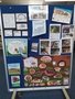 Bradley Stoke library display