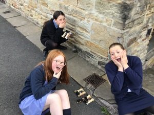 IMG_0771.JPG