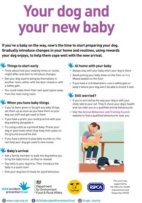 Child-Safety-Week-Parents-Pack-Safety-Made-Simple-3.jpg