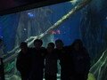 IMG_8178.JPG