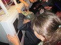 IMG_8198.JPG