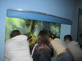 IMG_8203.JPG
