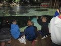 IMG_8204.JPG