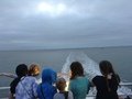 IMG_0282.JPG
