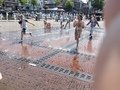IMG_0336.JPG