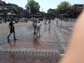 IMG_0354.JPG