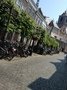 IMG_0373.JPG