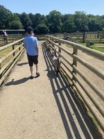 IMG_0528.JPG