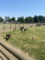 IMG_0520.JPG