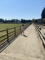 IMG_0516.JPG