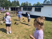 IMG_0503.JPG