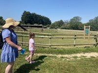 IMG_0506.JPG