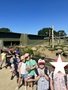 IMG_4479.JPEG