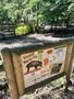 IMG_4482.JPEG