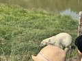 IMG_4490.JPEG