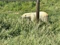 IMG_4492.JPEG