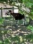 IMG_4498.JPEG