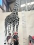 IMG_4518.JPEG