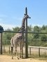 IMG_4522.JPEG