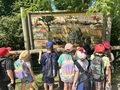 IMG_4526.JPEG