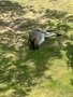 IMG_4549.JPEG