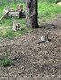 IMG_4555.JPEG