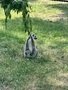 IMG_4559.JPEG