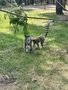 IMG_4560.JPEG