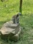 IMG_4561.JPEG
