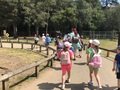 IMG_0954.JPG