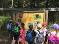 IMG_0963.JPG