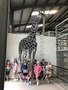 IMG_1584.JPG