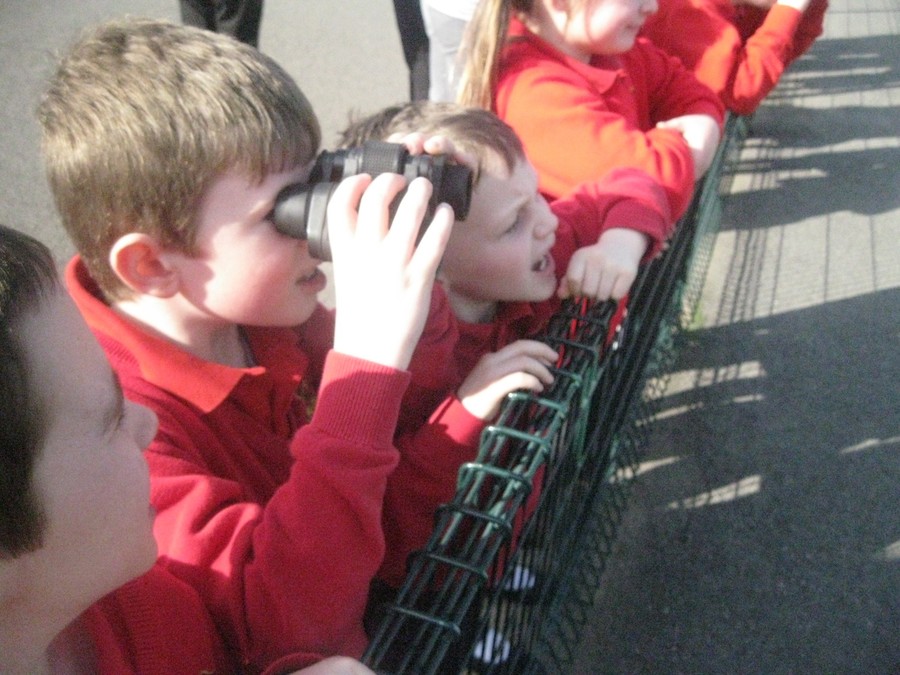 James is keeping Harry right. "Look over there!"