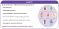 Twinkl Phonics - Level 1 overview.PNG