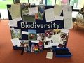 Year 2 biodiversity board.JPG