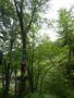 DSCN0486.JPG