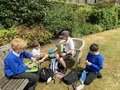 IMG_5367.JPEG
