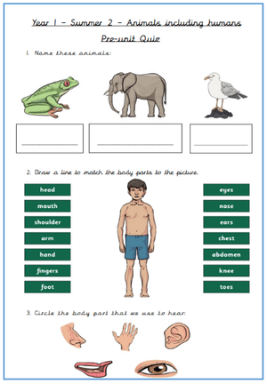 Year 1 Preunit quiz Animals Inc Humans.png