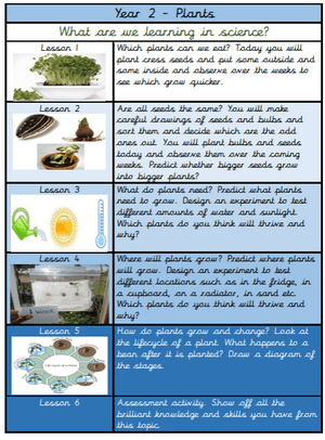 Lesson sequence plants Y2.png