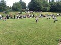 D6576D5BAEBE40088E404C777BDA5361.jpg