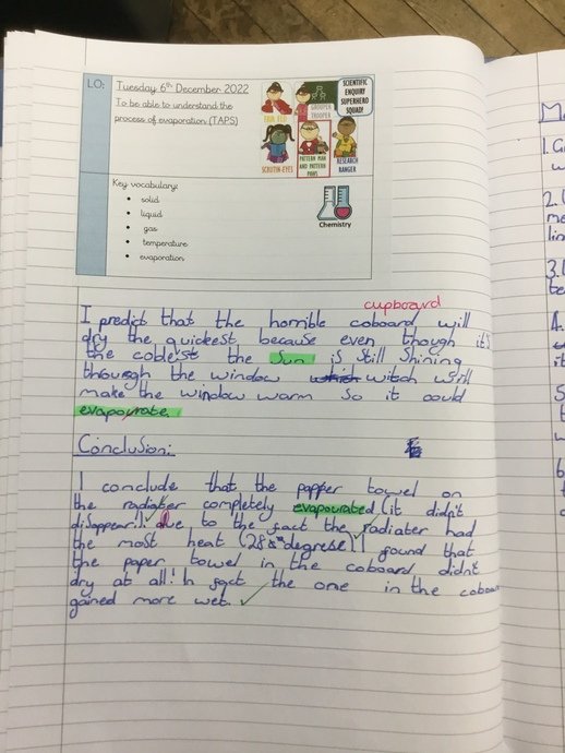 In
this lesson, children wrote both predictions and conclusions to their
investigations – both are fundamental skills of scientific enquiry