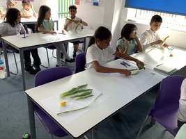 IMG_2789.JPG