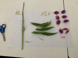 IMG_2807.JPG
