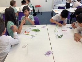 IMG_2817.JPG