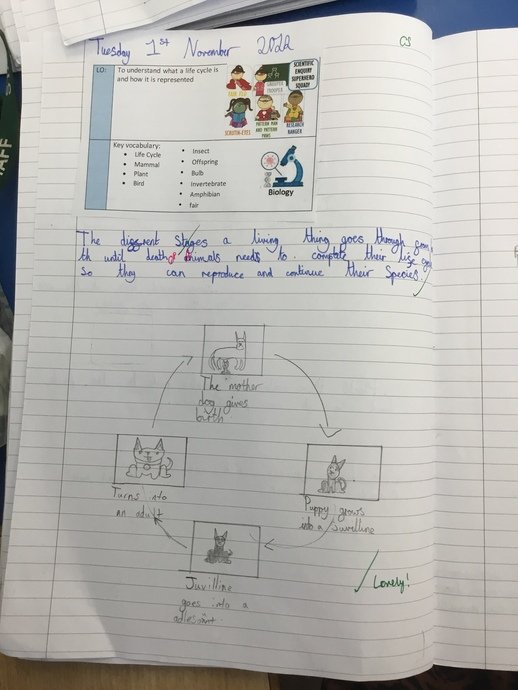 Children enjoy recording their learning in diagrams with
accompanying written responses.  